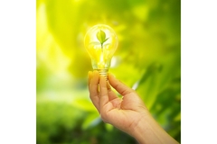 Image Lightbulb