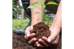 Image Farmer planting a plant.