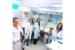 Image Researchers in a laboratory.