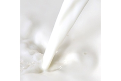 Milk.