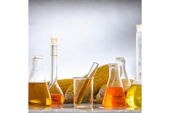 Image Corn and biofuels sit in beakers on a lab table.