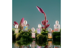 Image Future Society perfumes in a wilderness background.