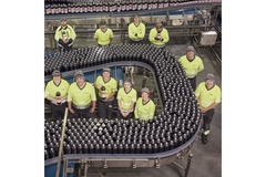 Image Canning line with workers from above.