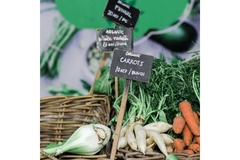 Image Organic foods