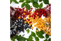 Image Many different, bright and multi-colored berries being poured onto a table from glass jars.