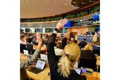 Image back shot of MEPs voting in a room.