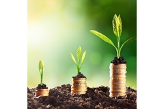 Image Money growing out of the ground.