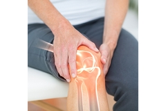 Image Visual representation of the bones of the human knee.