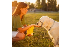 A woman feeding a dog.