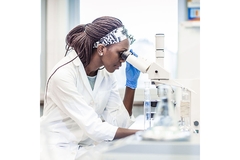 Image Scientist looks through microscope.