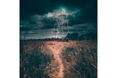 Extreme weather, lightening and crops.