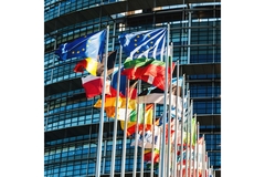 EU flags, Brussels.