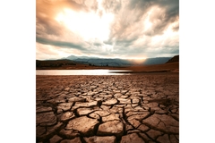 Image A barren land showing climate change.