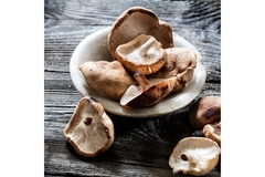 Various mushrooms.
