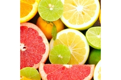 Image A variety of citrus fruits.