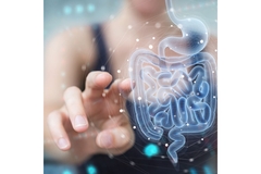 Person pointing towards a representation of the gut
