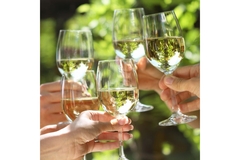 People holding glassing of white wine and making a toast.