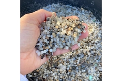 Image Plastic pellets.