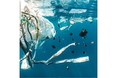 A bunch of trash pieces floating in the ocean.