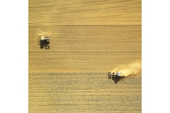 Image Tractors on crop farm.
