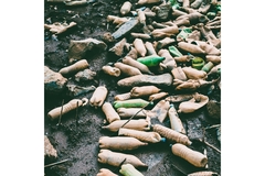Image waste plastic bottles