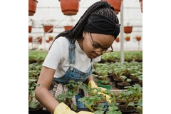 Image Novo Nordisk grant to American University