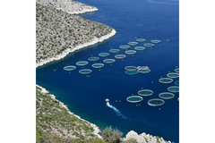 A view of the sea where fishing is being carried out.