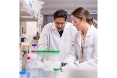 A shot of Pankaj Karande and Carolina Catarino working in lab