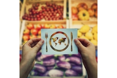 Image Global hunger plate cut out.