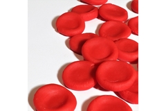 Image Closeup shot of red blood cells.