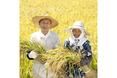 Image Farmers