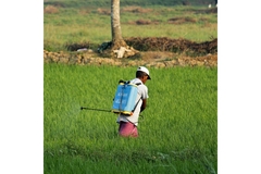 Man spraying pesticides in a field.