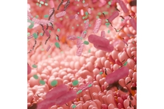 Image HHU microbiome research