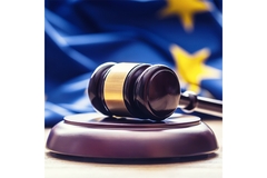 Image Court gable against EU flag.