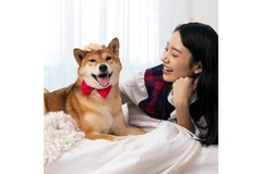 Image A woman sitting next to her dog.