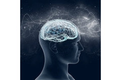 Image Neuroscience