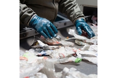 Image Person sorts through plastic waste on a recycling conveyor belt