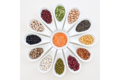 Image Different types of pulses in spoons.