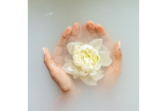 A flower floating in water.
