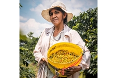 A woman carrying a basket of coffee berries.