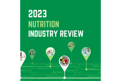 Image A green graphic which says Industry Review 2023 in white.