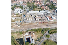 Image Italy plant.