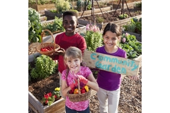 Image Three children at a community garden.