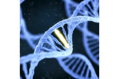 A graphic of DNA with one bridge in the double helix lit up.
