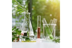 lab plates and jars with plants in and around it.