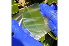 Bioplastics.