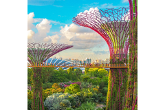Image An image depicting Singapore's skyline, trees and buildings.