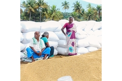 Image three people standing by a grain production unit with bags of grain behind them