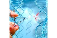 A person is editing gene.