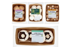 Image Different packs of mushrooms are placed together.
